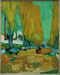 Allée des Tombeaux (Les Alyscamps)